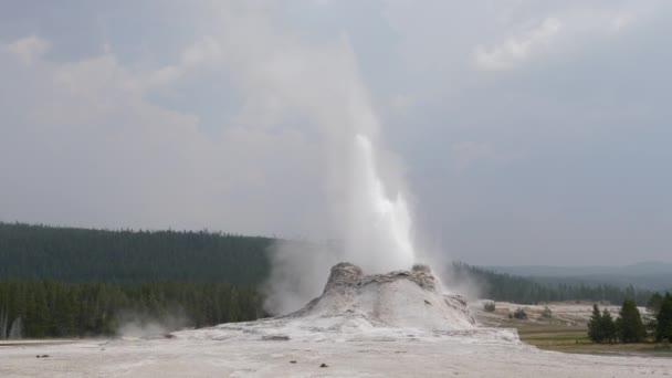 Zoom Uitbarsting Van Kasteelgeiser Yellowstone National Park — Stockvideo