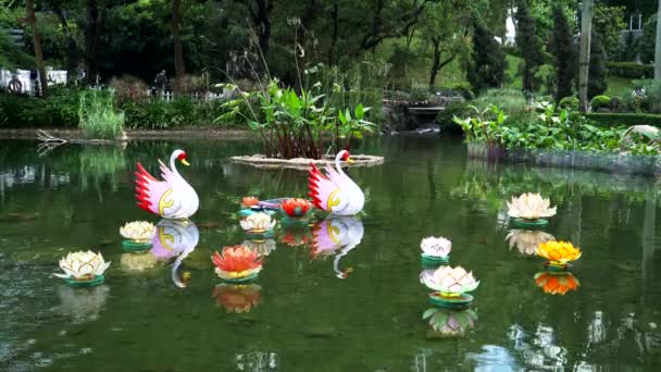 Décorations sur un étang dans les jardins botaniques de hong kong — Video