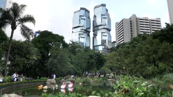 HONG KONG, CHINA- OCTOBER, 1, 2017: panci kebun botani dan bangunan lippo di hong kong — Stok Video