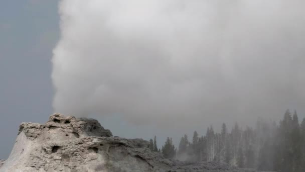 Perto do castelo geyser em erupção em yellowstone — Vídeo de Stock