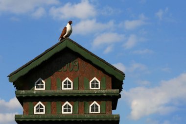 Dovecote güvercinler için
