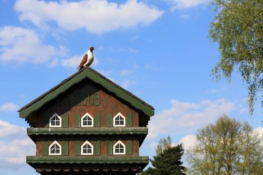 Dovecote güvercinler için