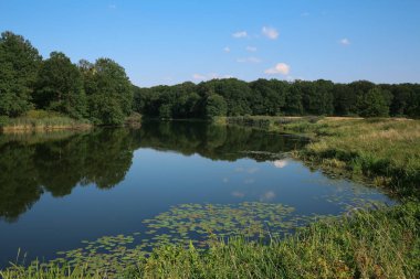 Gölet, dinlenebileceğiniz