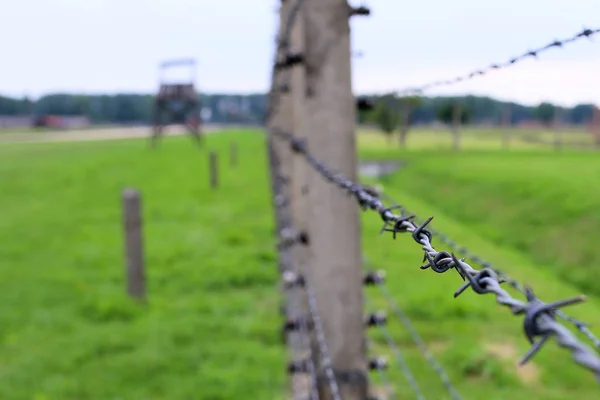 Auschwitzi Koncentrációs Tábor — Stock Fotó