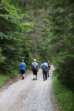 Turist tatil Tatras sonra orman yolu yürüyüş 