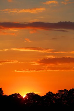 Günbatımı kırmızı yaz köyde ağaçların arkasında.