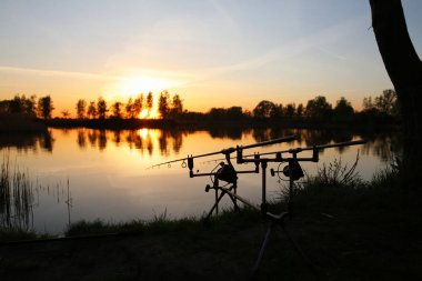 Çubuklar balık için bekleyen göl kenarında