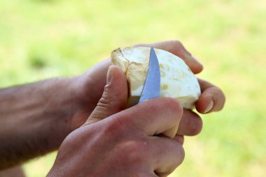 Açık havada Balık tutma gezisi sırasında hazırlanan Strogonov çanak.