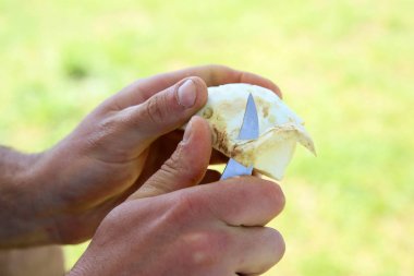 Açık havada Balık tutma gezisi sırasında hazırlanan Strogonov çanak.