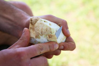 Açık havada Balık tutma gezisi sırasında hazırlanan Strogonov çanak.