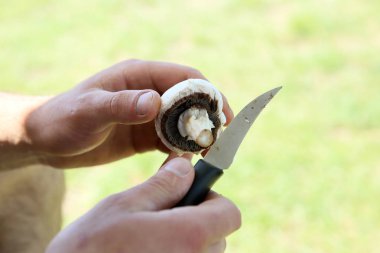 Açık havada Balık tutma gezisi sırasında hazırlanan Strogonov çanak.