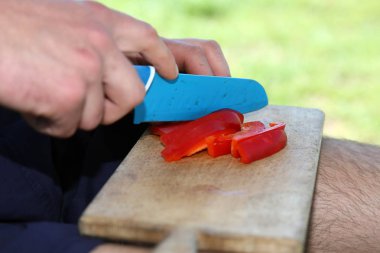 Açık havada Balık tutma gezisi sırasında hazırlanan Strogonov çanak.