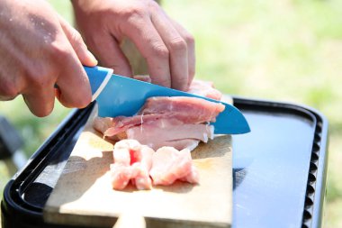 Açık havada Balık tutma gezisi sırasında hazırlanan Strogonov çanak.