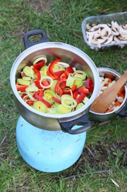 Açık havada Balık tutma gezisi sırasında hazırlanan Strogonov çanak.