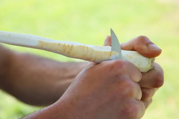 Strogonov Gericht Freien Während Eines Angelausflugs Zubereitet — Stockfoto