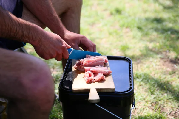 Strogonov Maträtt Tillagas Fria Fisketur — Stockfoto