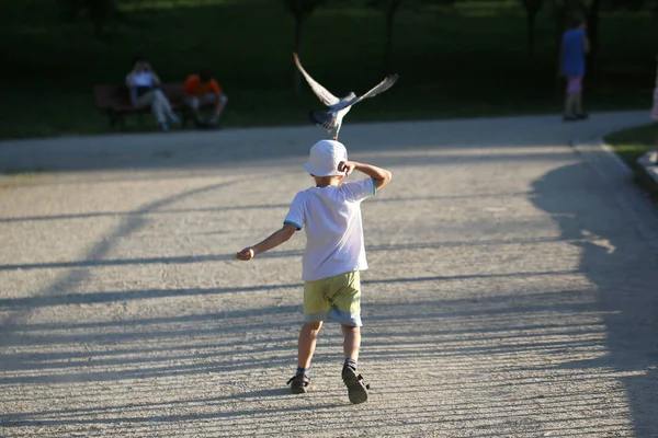 Petit Garçon Pourchassant Pigeon Dans Parc Ville — Photo