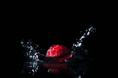 Olgun ahududu siyah izole sıçrama ile suya düşen