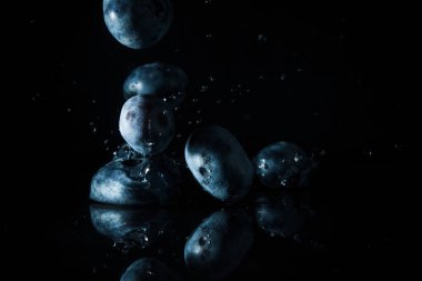 Olgun yaban mersini ve siyahta izole su damlaları