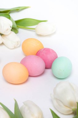 Paskalya yumurtaları ve Lale beyaz izole kapatmak