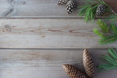 Noel Christmastree dalları ile alay etmek yukarıya