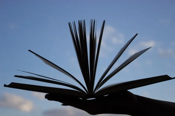 Silhueta de livro aberto na mão — Fotografia de Stock