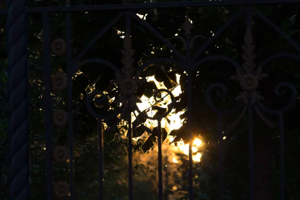 La recinzione del giardino — Foto Stock