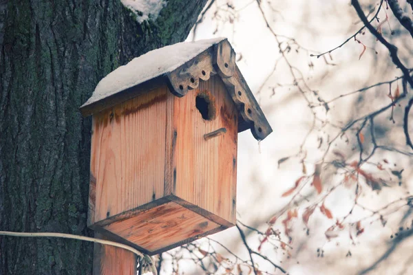 Casa păsărilor pe un copac — Fotografie, imagine de stoc