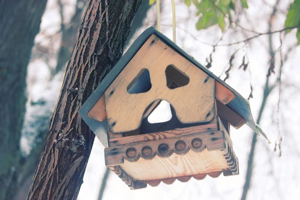 Maison d'oiseaux sur un arbre — Photo