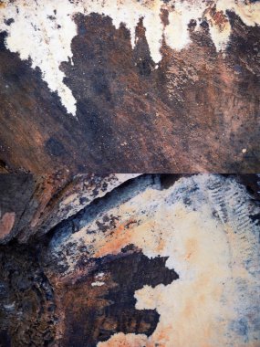 dokulu kesilmiş ağaç arka plan