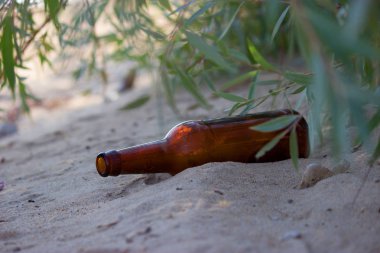 Plastik şişe sahilde