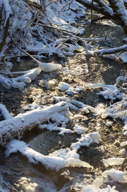 Güzel kış orman peri ağaçları ile nehirde