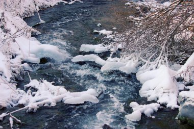 Güzel kış orman peri ağaçları ile nehirde