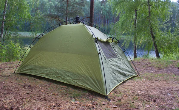 Groene tenten zijn in het bos — Stockfoto