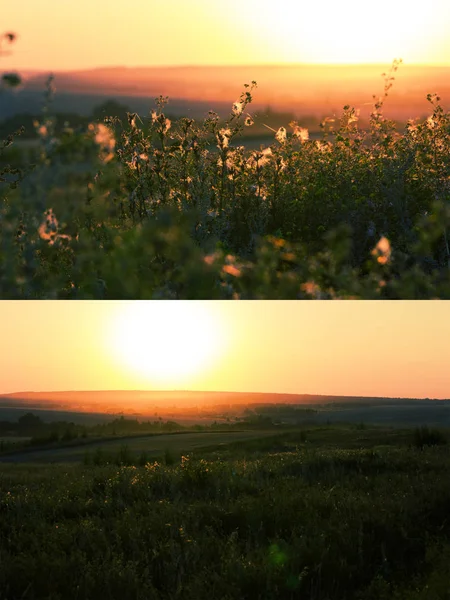 Coucher de soleil dans la prairie — Photo