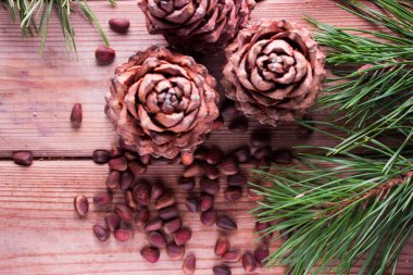 Pignolia fındık closeup