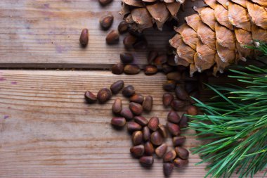 Pignolia fındık closeup