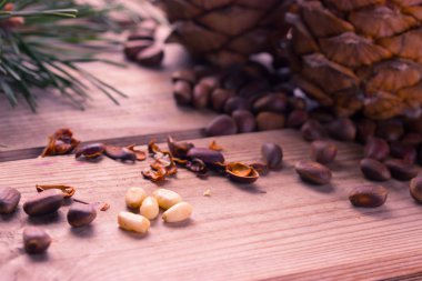 Pignolia fındık closeup