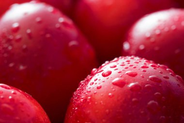 Taze kiraz meyvelerini kapatın.