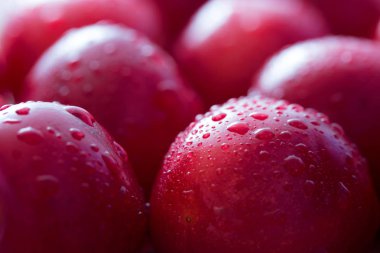 Taze kiraz meyvelerini kapatın.