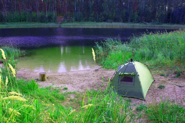 Namioty w lesie przy jeziorze — Zdjęcie stockowe