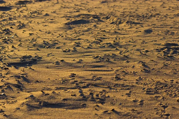 Bliska tło plaża piasek. — Zdjęcie stockowe