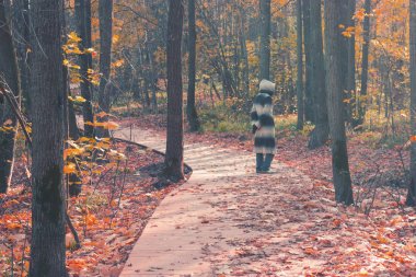 Manto ormandaki doygunluğu azaltılmış bir görüntüyü korkunç şekilde