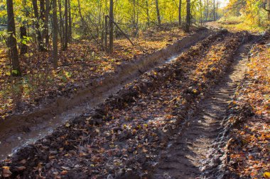 Dağınık kırsal toprak yol