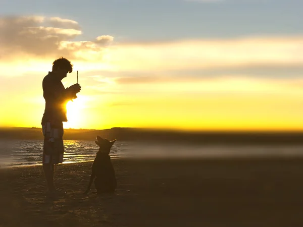 Silhueta de cão e anfitrião — Fotografia de Stock