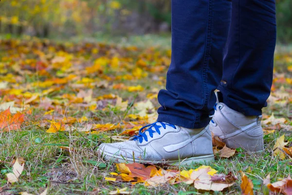 Fötter sneakers gå på hösten blad — Stockfoto