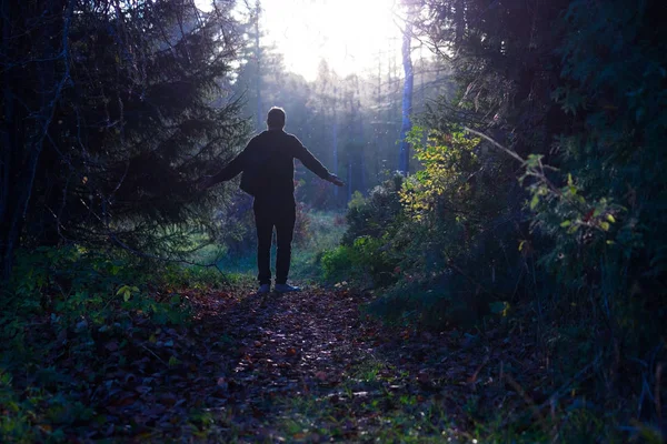 Fantasía bosque paisaje . — Foto de Stock