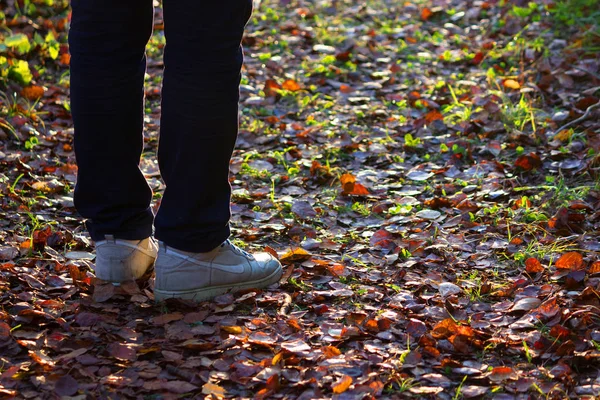 Fötter sneakers gå på hösten blad — Stockfoto