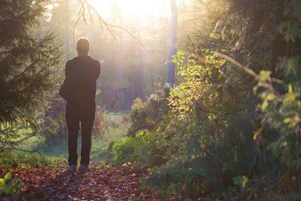 fantezi orman manzara.