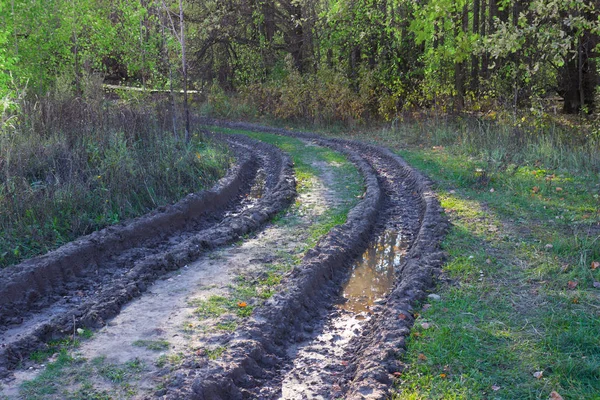 Dağınık kırsal toprak yol — Stok fotoğraf